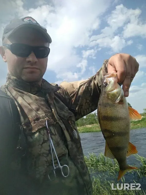 Perch, Pike — Lan, May 21, 2019