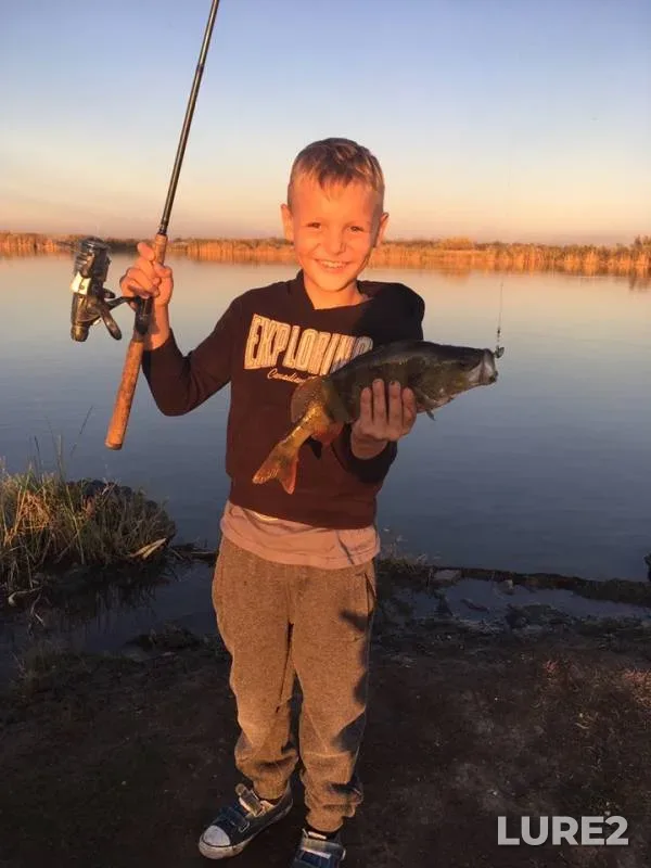 Perch — Manych, Oct 16, 2019
