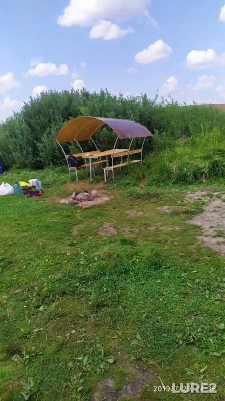 Crucian carp — Gayevshchina, Jul 30, 2019