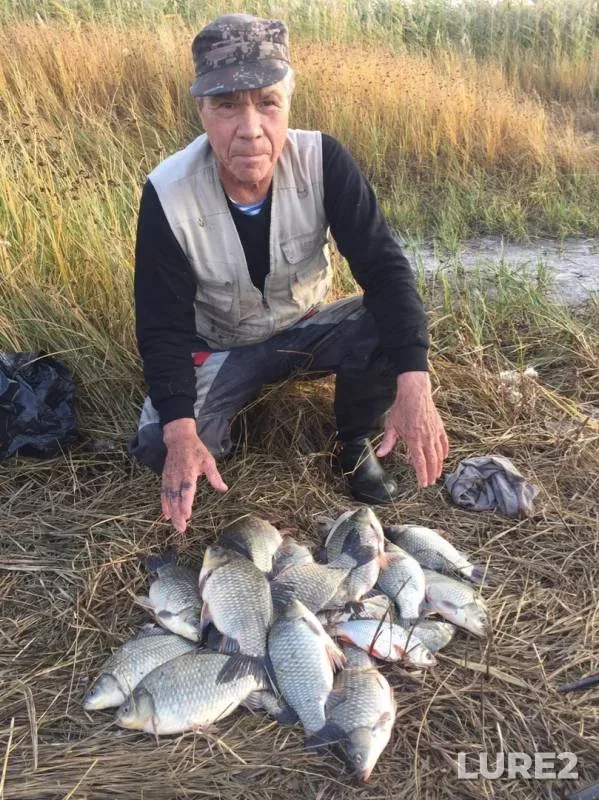 Crucian carp — Atkul, Sep 14, 2019