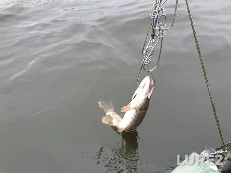 Pike — Miass, Sep 21, 2019