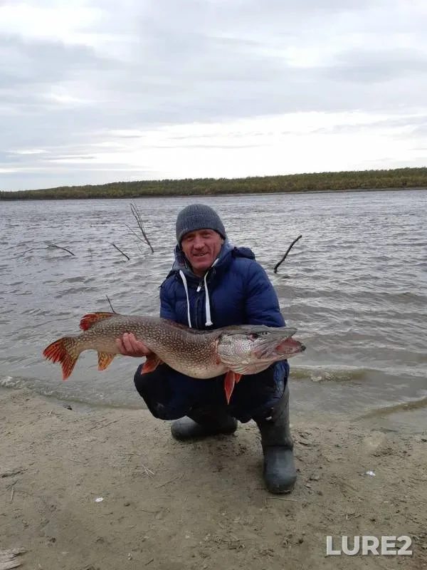 Pike — Irtysh, Oct 02, 2019