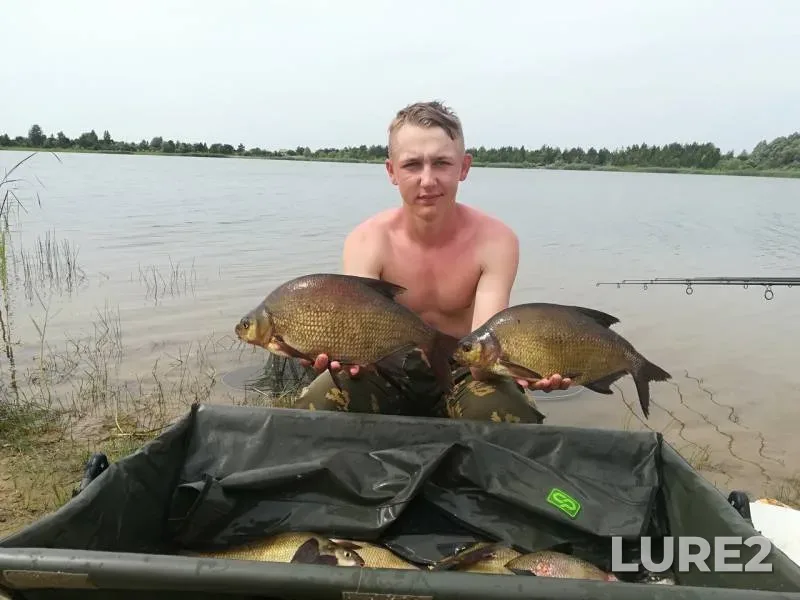 Bream, Crucian carp — Myshanka, Jun 16, 2019