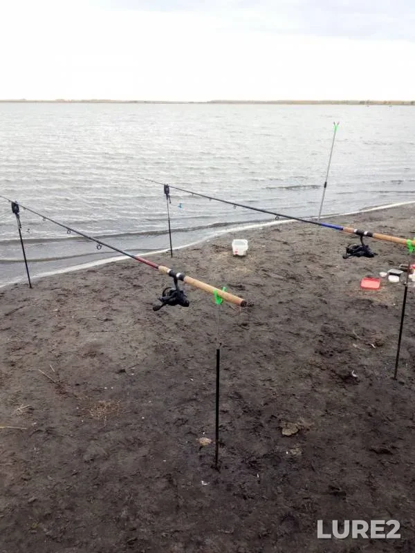 Crucian carp — Bolshoy Urdobay, Oct 03, 2019