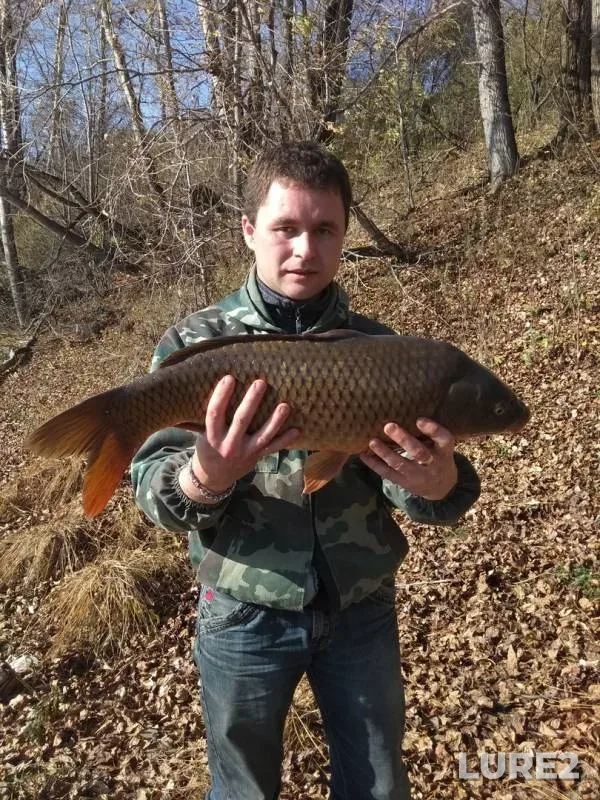 Carp — Kusinskiy, Oct 06, 2019