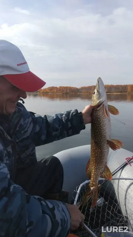 Pike — Kaldy, Oct 08, 2019