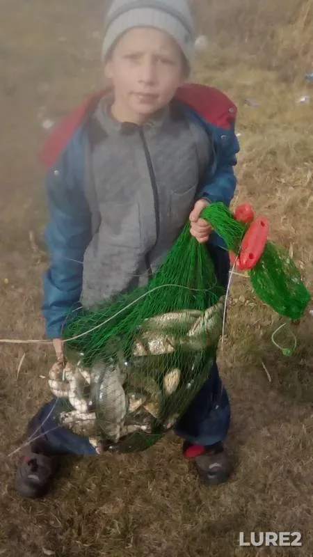 Crucian carp — Puktysh, Oct 12, 2019
