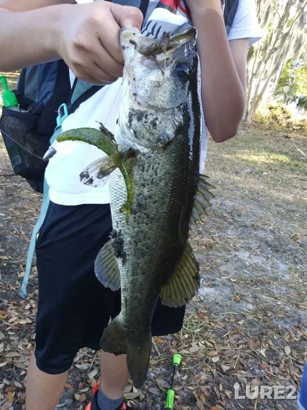 Largemouth bass — Lake Pierce, Apr 30, 2018