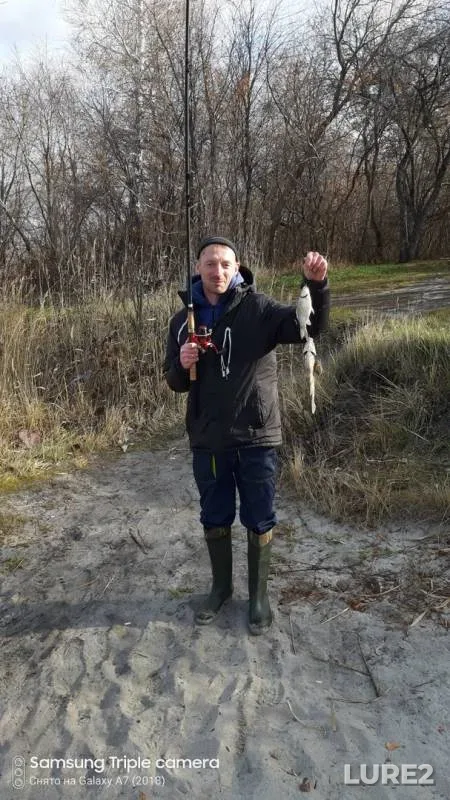 Crucian carp — Maloye Zhuzhgovo, Oct 27, 2019