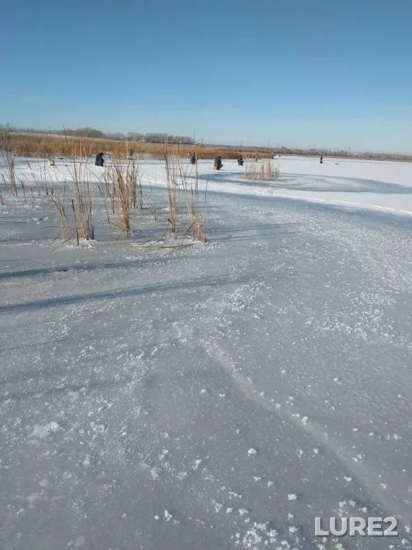 Perch — Yuzhnouralskoye, Nov 12, 2019