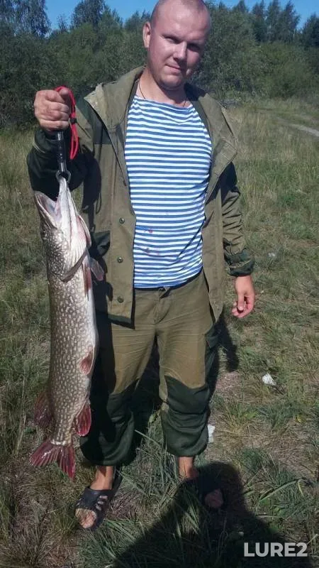 Pike — Sovets, Aug 12, 2018