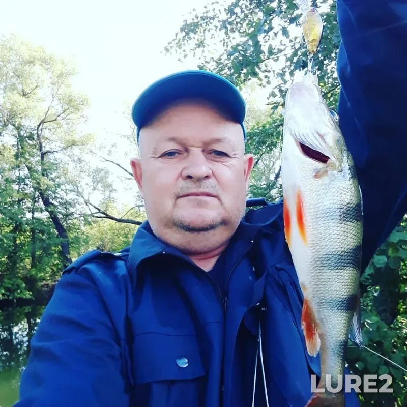 Perch — Bolshoy Kolyshley, Aug 27, 2019