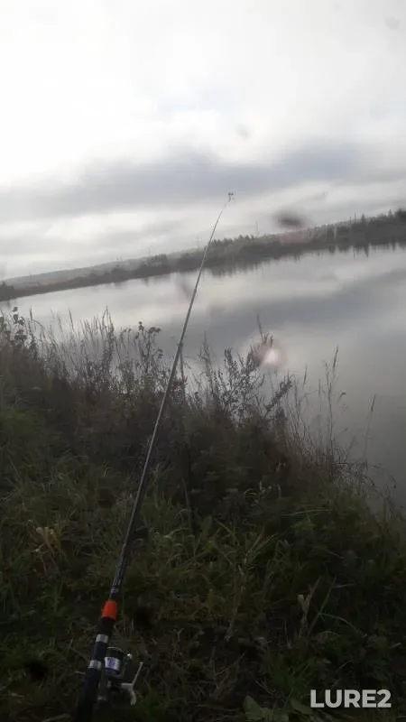 Carp — Kanal imeni Moskvy, Sep 29, 2019
