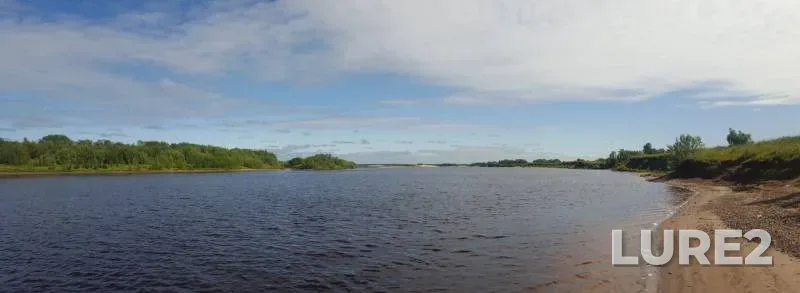 Bream, Perch — Arkhangelskaya oblast, Kholmogorskiy munitsipalnyy okrug, Jul 27, 2019