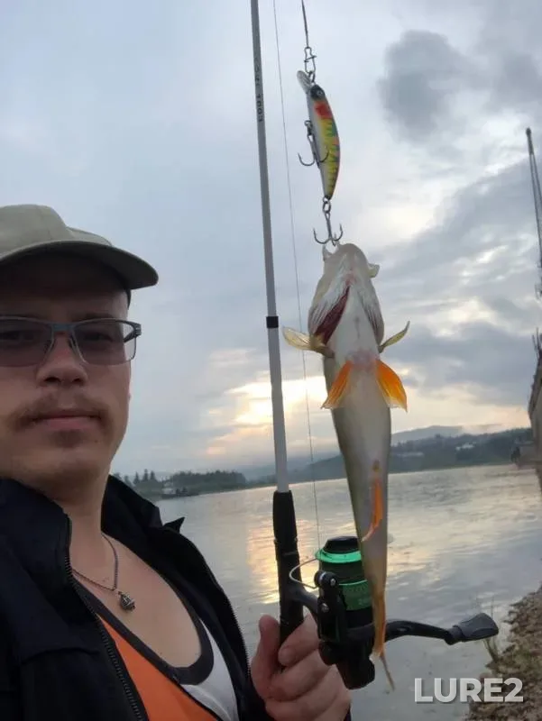 Perch — Yakurim, Sep 04, 2019
