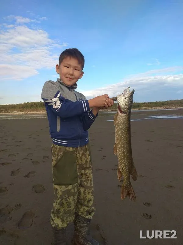 Pike — Pokrovka, Sep 05, 2019