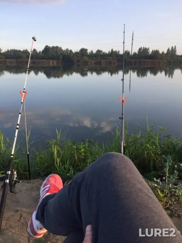 Crucian carp — Moskovskaya oblast, Sep 07, 2019