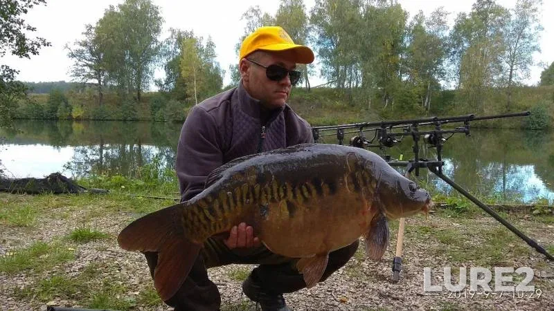 Carp — Linyovoye, Sep 08, 2019
