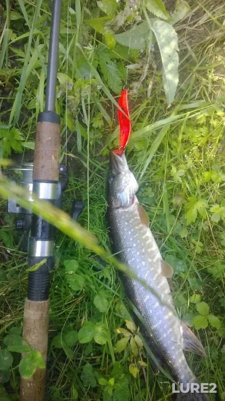 Pike — Malyy Kemchug, Sep 27, 2019