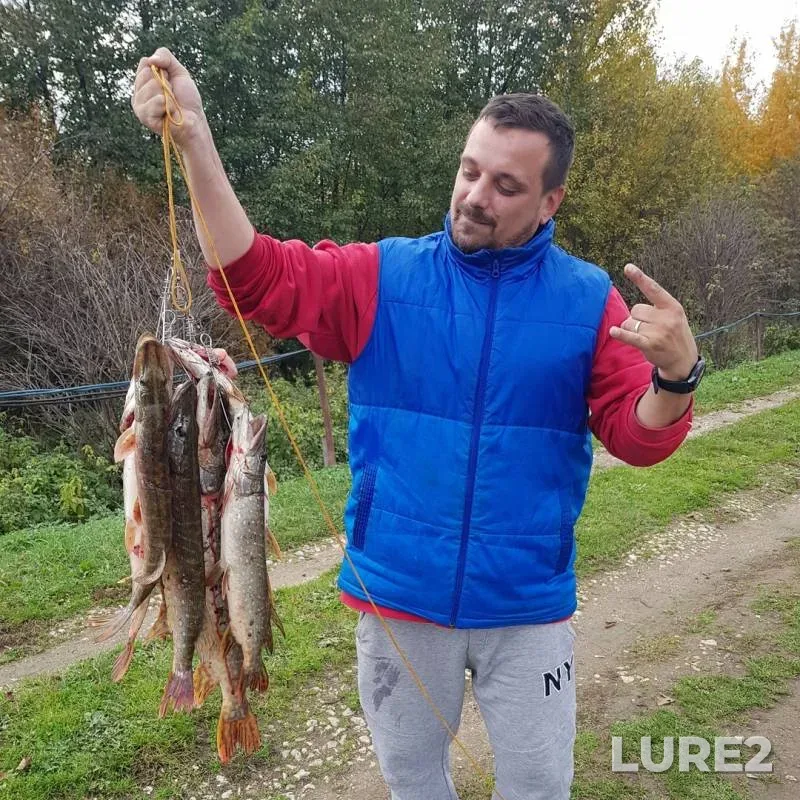 Pike — Bittsa, Oct 07, 2019