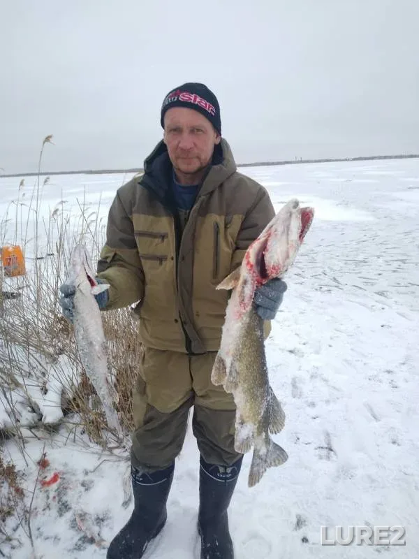 Pike — Severo-Kazakhstanskaya oblast, Nov 23, 2019