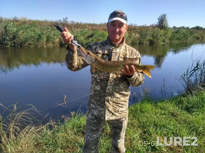 Perch, Pike — Zaporіzka oblast, Aug 05, 2019