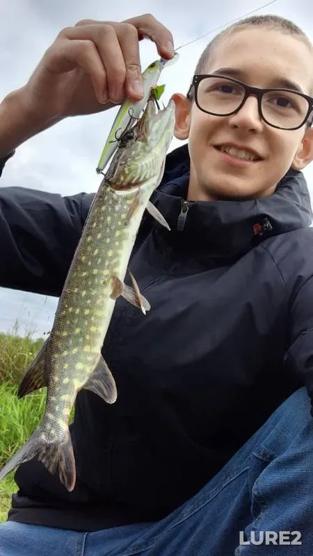 Pike — Sendega, Aug 25, 2019