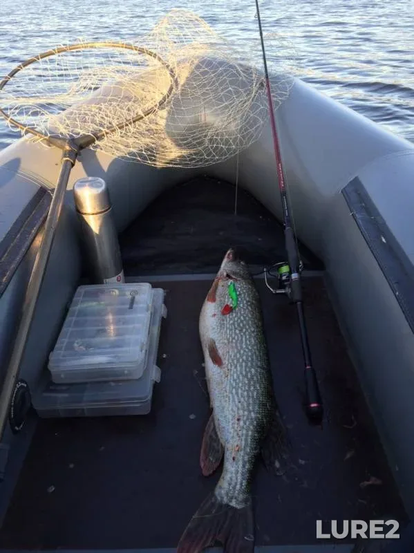 Pike — Izh, Oct 25, 2019