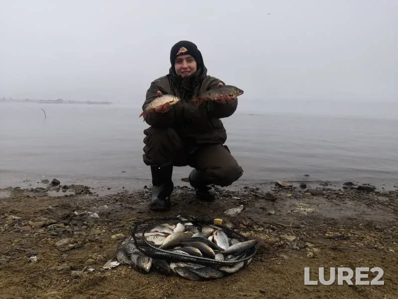 Bream, Roach — Desna, Mar 17, 2019