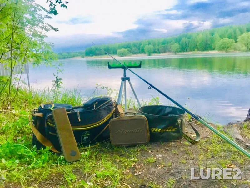 Bleak, Crucian carp — Chistyye prudy, May 12, 2019
