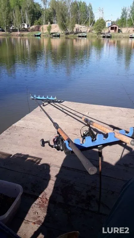 Carp — Moskovskaya oblast, gorodskoy okrug Solnechnogorsk, May 18, 2019