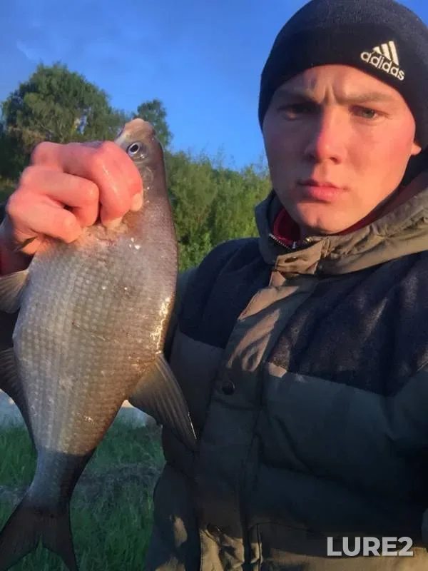 Bream — Shilna, May 19, 2019
