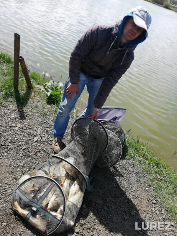 Carp — Skhodnya, May 31, 2019