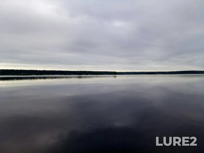 Bream — Volga, Jun 05, 2019