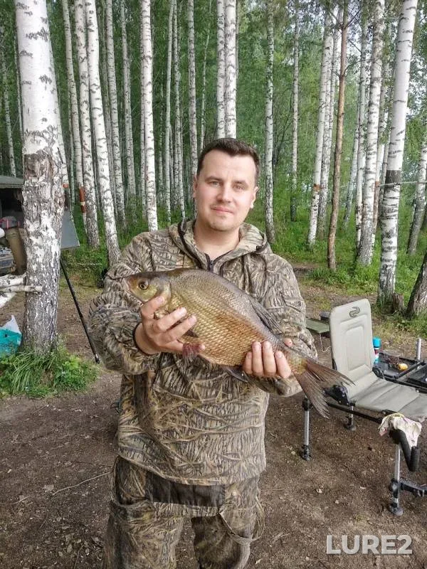 Bream — Beloyarskoye, Jun 14, 2019