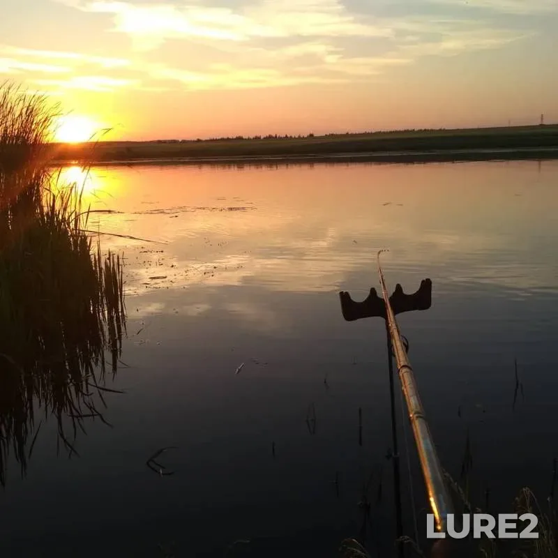Bream, Roach — Ryazanskaya oblast, Jun 23, 2019