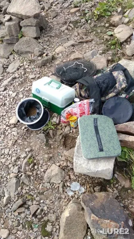 Crucian carp — Mechyotka, Aug 04, 2019