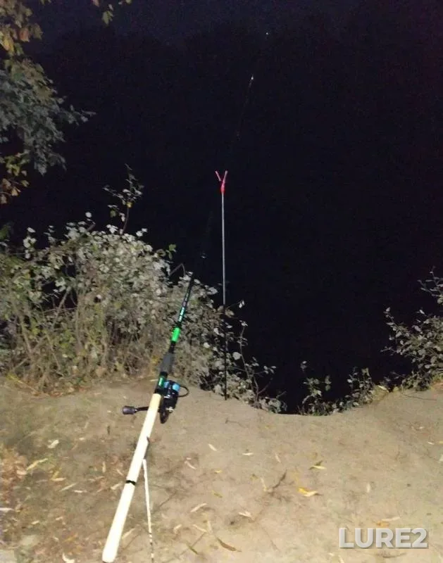 Bream, Carp — Turunchuk, Oct 13, 2019