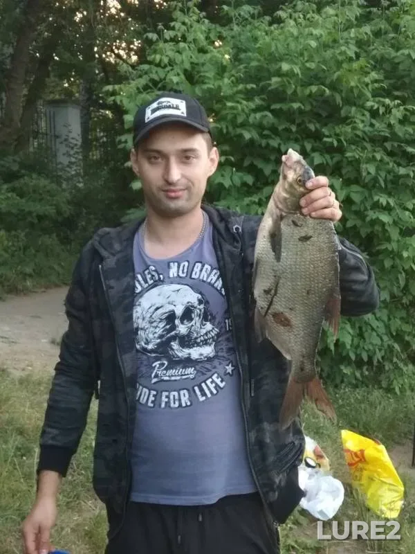 Bream, Roach — Bolshoy Sadovyy, Jun 26, 2019