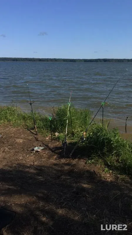 Bream — Yauzskoye, Jul 31, 2019
