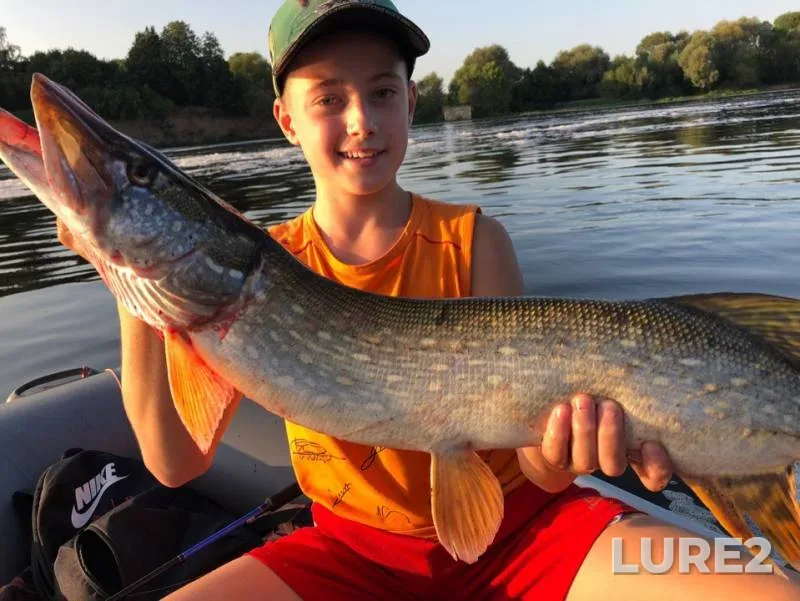 Pike — Moskva, Aug 24, 2019