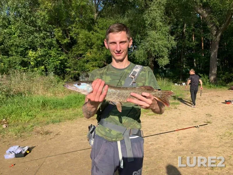 Pike — Istrinskoye, Sep 01, 2019