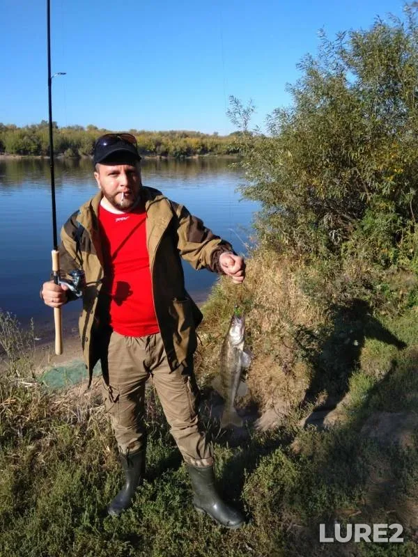 Zander — Oka, Sep 07, 2019