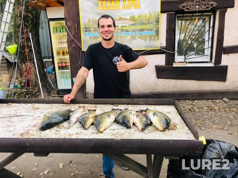 Carp, Wels catfish — Belaya Dacha, Sep 08, 2019