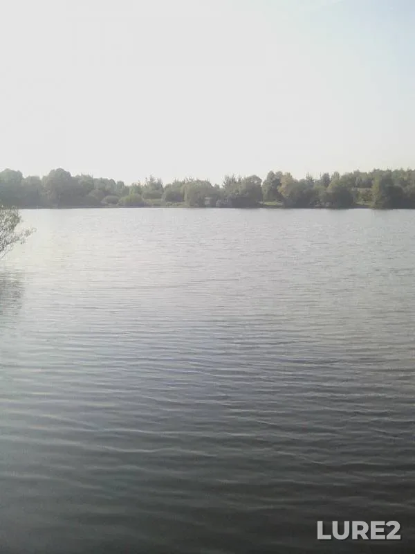Crucian carp — Zapadnyy Burtsevskiy, Sep 11, 2019