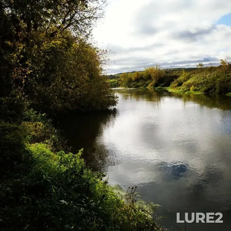 Pike — Upa, Sep 15, 2019