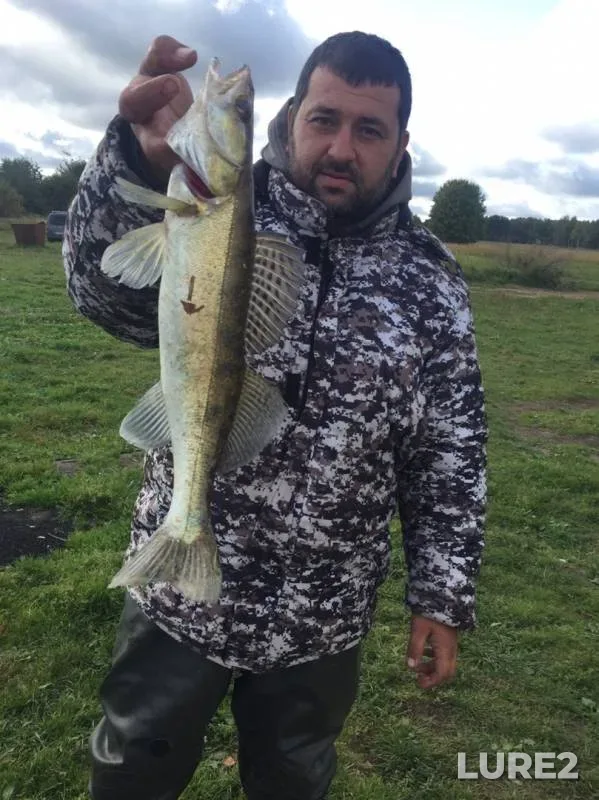 Zander — Yauzskoye, Sep 15, 2019