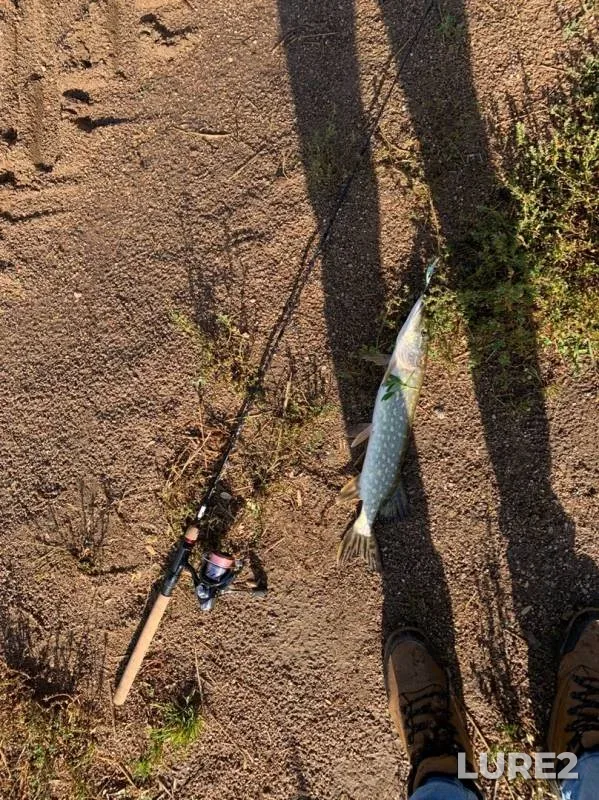 Pike — Bolshaya Gzhat, Sep 16, 2019