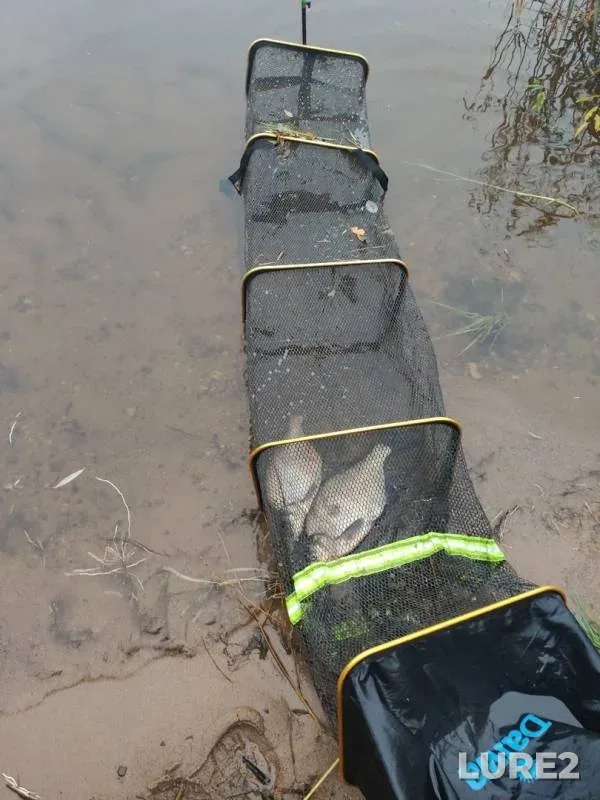 Bream — Vyshnevolotskoye, Oct 14, 2019