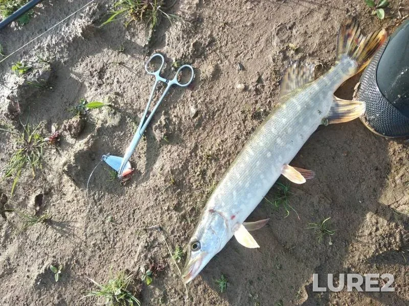 Pike — Ruzskoye, Oct 03, 2019